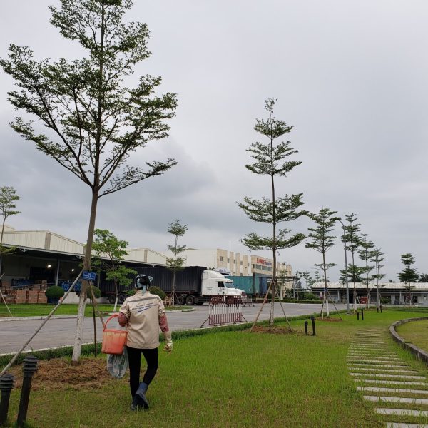 Pestkil Việt Nam _ công việc 01 (22)