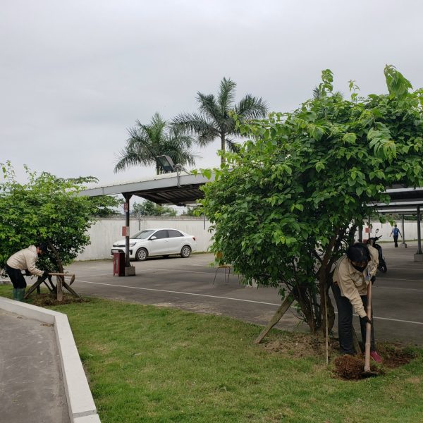 Pestkil Việt Nam _ công việc 01 (24)