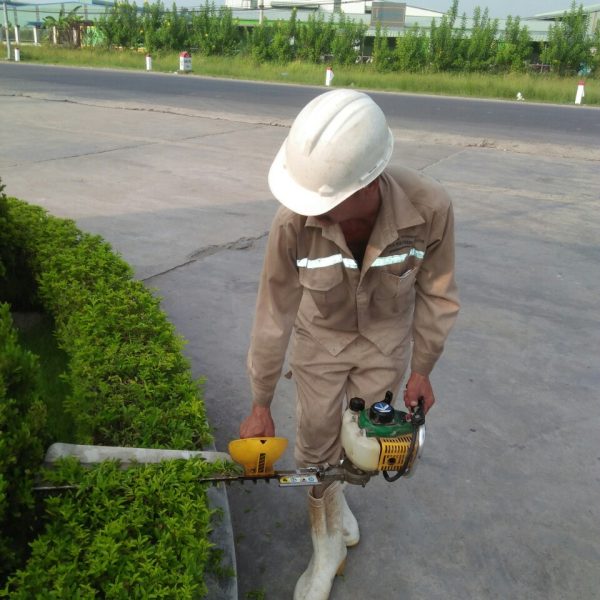 Pestkil Việt Nam _ công việc 01 (52)