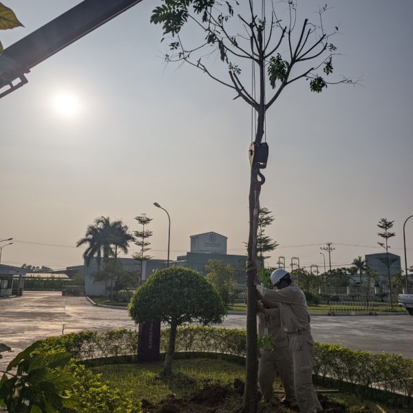 Pestkil Việt Nam _ công việc 01 (6)