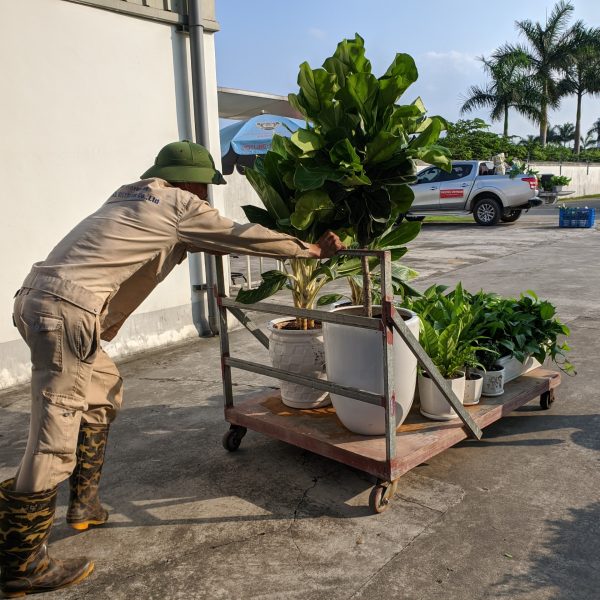 Pestkil Việt Nam _ công việc 01 (68)