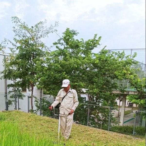 Pestkil Việt Nam _ công việc 01 (84)