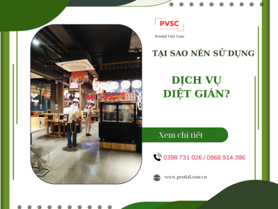 Pestkil Việt Nam