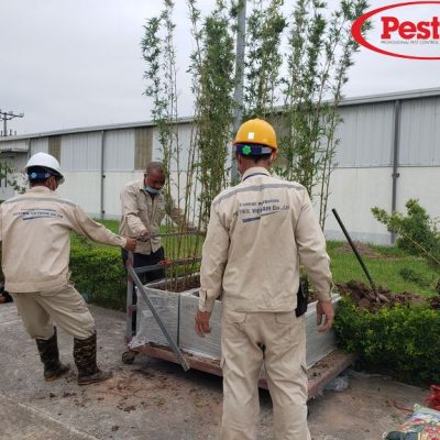 Pestkil team (11)