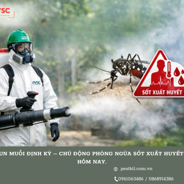 Phun muỗi định kỳ – Chủ động phòng ngừa sốt xuất huyết từ hôm nay.