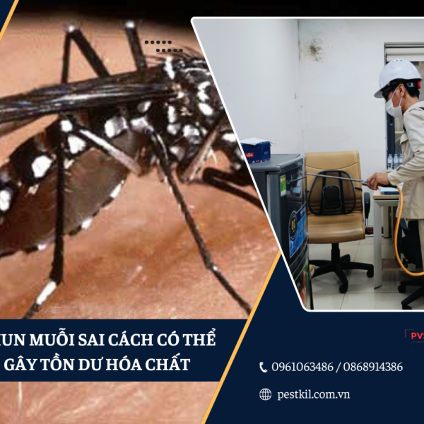 Phun muỗi sai cách có thể gây tồn dư hóa chất