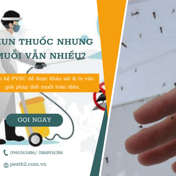Phun thuốc nhưng muỗi vẫn nhiều