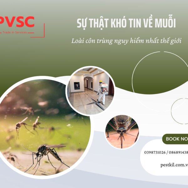 SỰ THẬT KHÓ TIN VỀ MUỖI