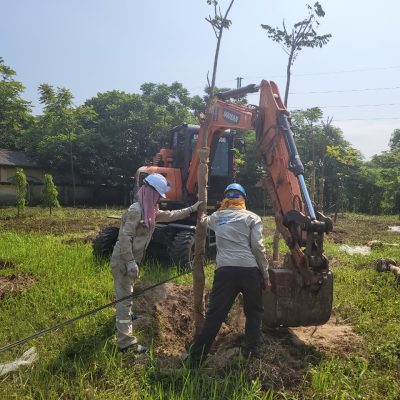 Trồng cây xanh cho dự án giảm thiểu CO2