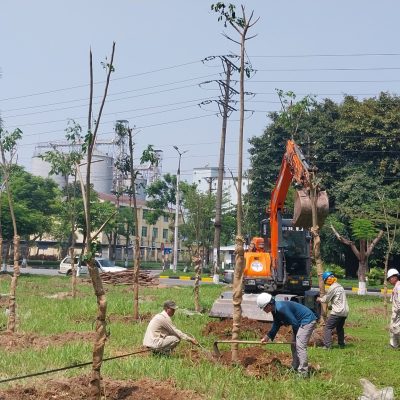 Trồng cây xanh cho dự án giảm thiểu CO2 (4)
