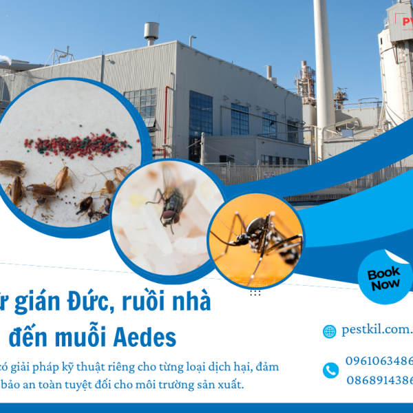 Từ gián Đức, ruồi nhà đến muỗi Aedes –