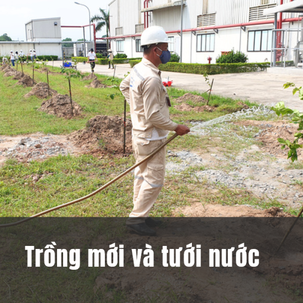 Tưới cây