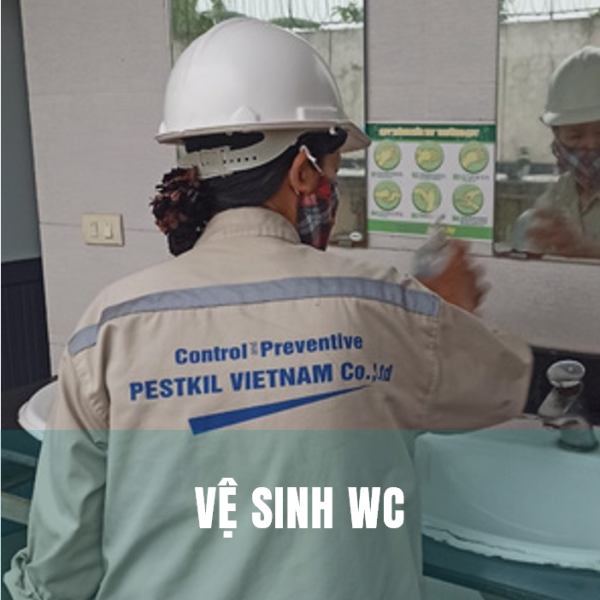 Vệ sinh WC