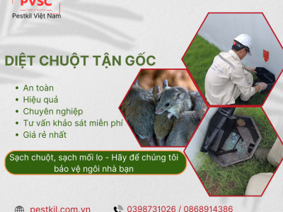 diệt chuột tận gốc