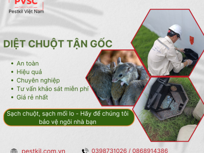diệt chuột tận gốc