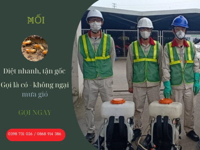 mối