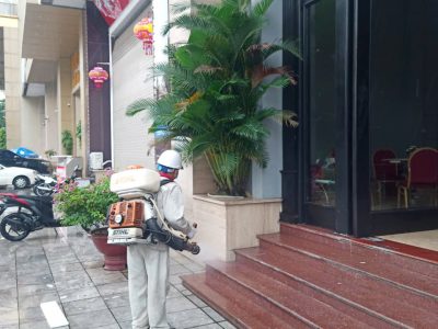 ruồi